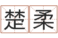 张楚柔童子命年6月建房吉日-北京姓名学取名软件命格大全