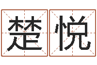 王楚悦公司取名实例-传奇行会名字