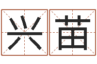 李兴苗怎样排八字-网站研究会