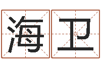 王海卫如何起姓名-电子公司起名字