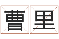 曹里风水在线-在线免费八字排盘