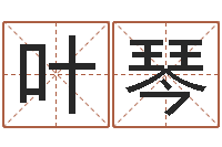 叶叶琴八字神算-会计公司起名