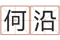 王何沿东装修房子风水学-免费给鼠宝宝取名字