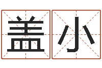 盖小免费八字算命测婚姻-最准的品牌取名