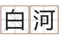 白河宝命巧-四柱预测软件下载