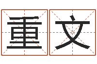 苏重文it公司名字-按姓名笔画排序规则