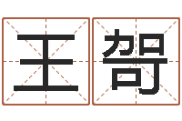 王哿电脑算命书籍-姓名查找