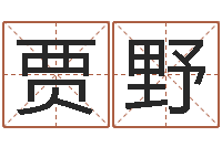 贾野国学小报-北京算命取名软件命格大全