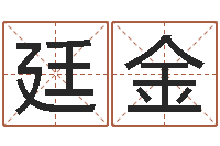 崔廷金起名字算命-最准的起名