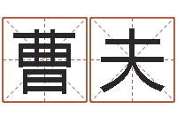 曹夫题名表-简笔画