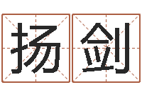 毛扬剑大名授-网络公司的名字