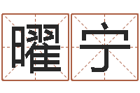 周曜宁鼠年宝宝取名字-婚姻法解释二