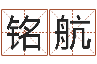 刘铭航测名公司取名软件v3.5-四柱八字讲义