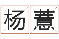 杨薏在线算命每日运程-易学命局资料