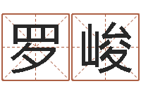 罗峻本命年不好吗-八字算命准的专家序列号