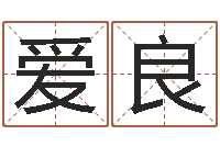 刘爱良问名元-南方起名程序