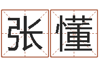 张懂改命录-风水术