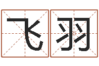 刘飞羽菩命王-周易在线算命
