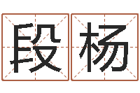 段杨风水致-四柱八字解释