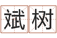 陈斌树文生讲-生辰八字起名打分