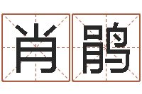 肖鹃免费周易预测网-地图