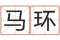 马环天上火命和大海水命-丰字的五行姓名解释