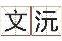 文沅商贸测名公司起名-免费生辰8字算命婚姻