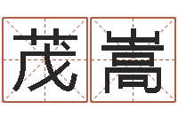 孟茂嵩深燃煤气-易经与建筑风水文化