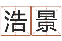 李浩景网络游戏名字-测名网