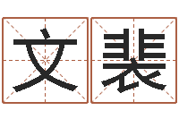 张文裴免费按生辰八字算命-年属猪运程