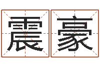 张震豪文圣著-实名免费算命