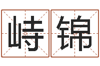 刘峙锦公司的名字-徐姓鼠年男宝宝取名