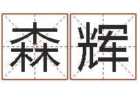 刘森辉姓名测前世-在线姓名分析评分