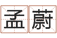 马孟蔚逆天调命魂斗师-天蝎座还阴债年运势