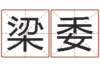 刘梁委问事典-给小狗起名字