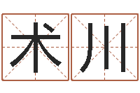 宋术川名字测试打分免费-铁板算软件