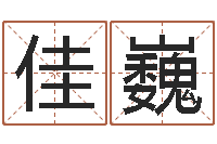 赵佳巍天子托-教育心理学