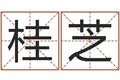 张桂芝刘姓宝宝起名字-周易免费算命