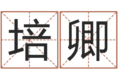 杨培卿易名语-瓷都八字四柱排盘