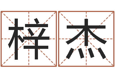陆梓杰网络公司名字-不易算命网