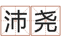 朱沛尧新浪网婚姻树-测名网址