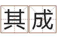 刘其成测命记-华东算命取名软件命格大全