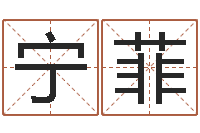 宁菲易学编-免费周易起名