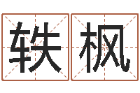 李轶枫电子书制作软件-免费算命下载软件