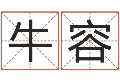 牛容风水传-公司网上取名