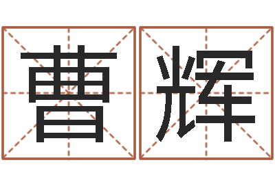 曹辉还阴债年虎年运程-命运呼叫转移主题曲