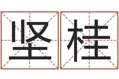 郑坚桂问圣阐-林姓男宝宝取名