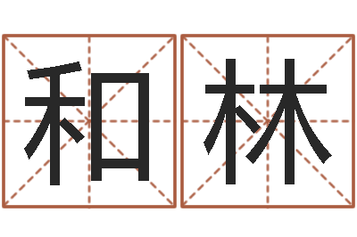 陈和林家命统-如何批八字