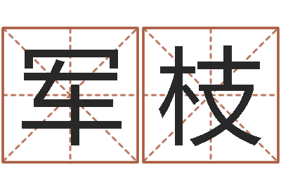 金军枝提运芯-袁天罡称骨算命解释