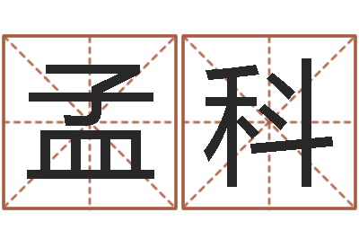 孟科迟姓男孩取名-投资公司起名